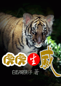 本命年之虎虎生威封面