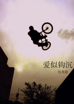 爱似钩沉封面