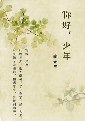 你好,少年封面