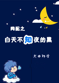白天不知夜的黑封面
